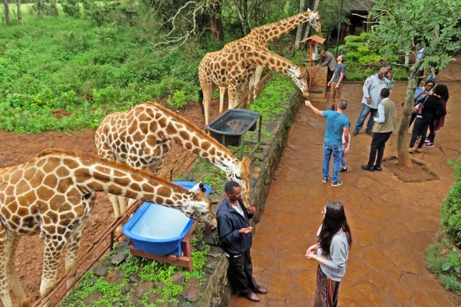 Kigali & Nairobi Experience Tour